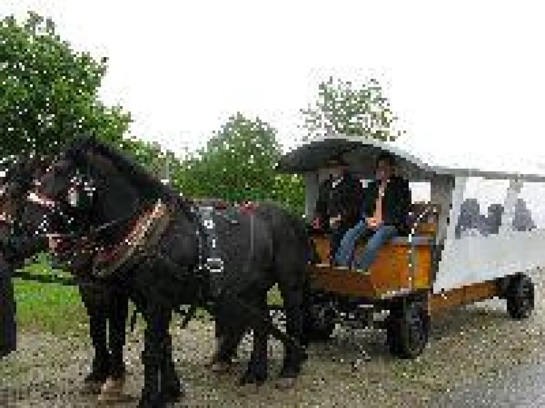 Kutschfahrt