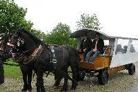 Bild: Familienurlaub in Bayern im Wegscheider Land