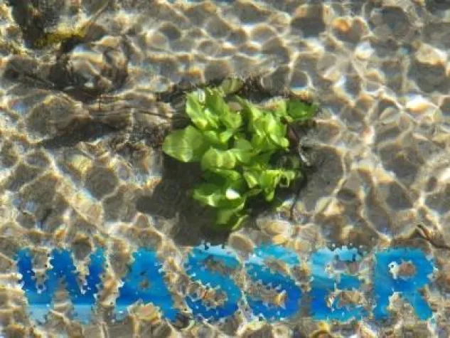 Bild: Wasser - Trinkwasserqualität verschlechtert sich zunehmend