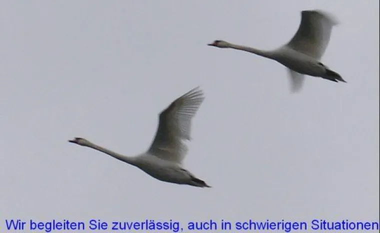 Bild: Mobile Hilfe und Beratung vor Ort bei Flugangst und Fragen rund ums Fliegen
