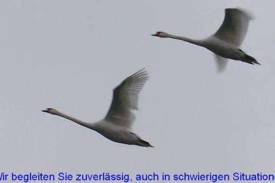 Bild: Mobile Hilfe und Beratung vor Ort bei Flugangst und Fragen rund ums Fliegen