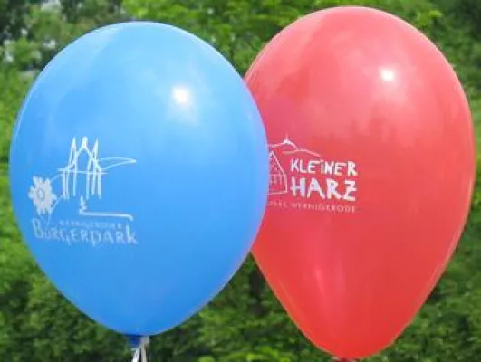 Bild: Auf die Spielplätze fertig los - Kinderfest am Samstag 15.08.2009 im Wernigeröder Bürgerpark