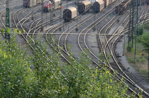 Bild: TH Nürnberg-Studentin gewinnt Wissenschaftlichen Sonderpreis