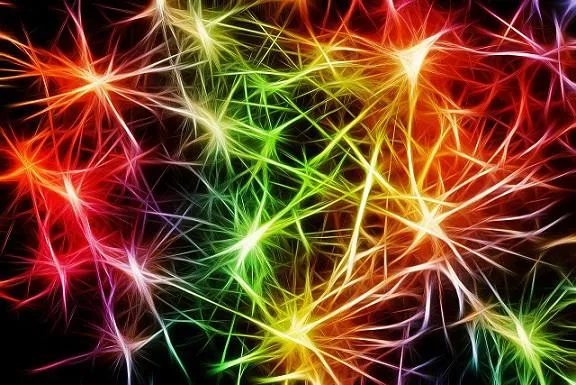 Bild: Alzheimer und die Safranknolle