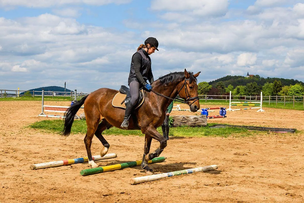 Internat und Reiten - Lietz Internat Schloss Bieberstein