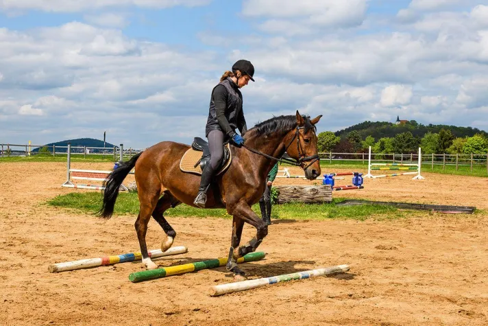 Bild: Internat & Reiten – auch mit dem eigenen Pferd!