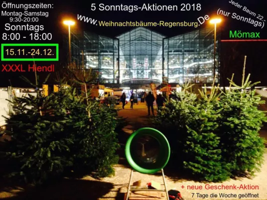 Bild: Christbaumverkauf Regensburg