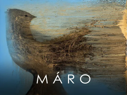 Bild: 30. März 2019: Vernissage Und Konzert: Máro Und Musik Vom Aelius Trio