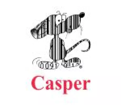 Bild: Casper GmbH erhält Zertifikat von der Initiative Mittelstand
