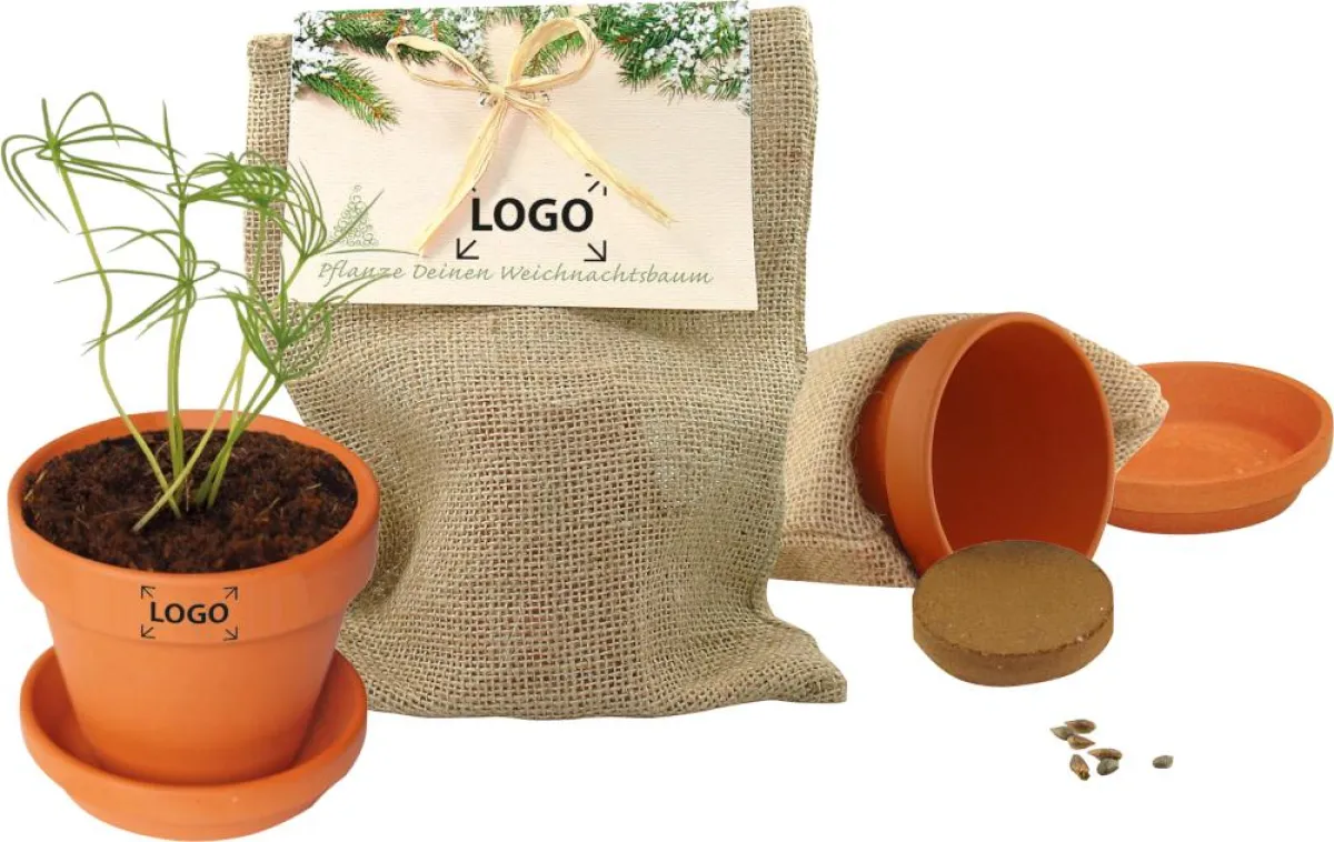 Einmal einen eigenen Baum pflanzen – möglich mit Multiflower, bestellbar bei brilliant promotion.