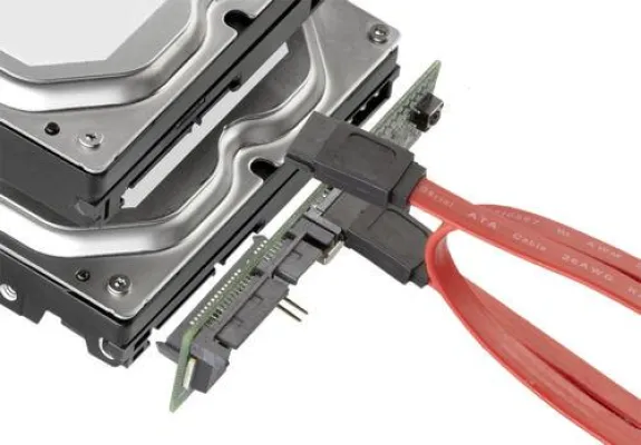 Eins - zwei - Huckepack Bild: Eins - zwei - Huckepack