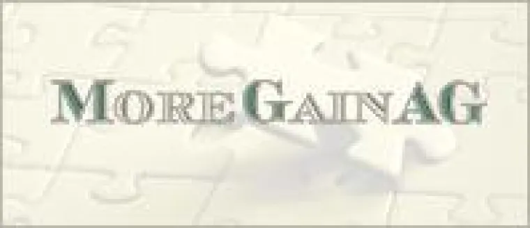 Bild: Internationales Consulting im Zentrum der bayrischen Landeshauptstadt