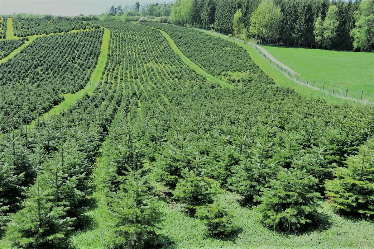 Wir sind kein eingetragener Verein: Ehrliche Vermarktung geht auch anders!