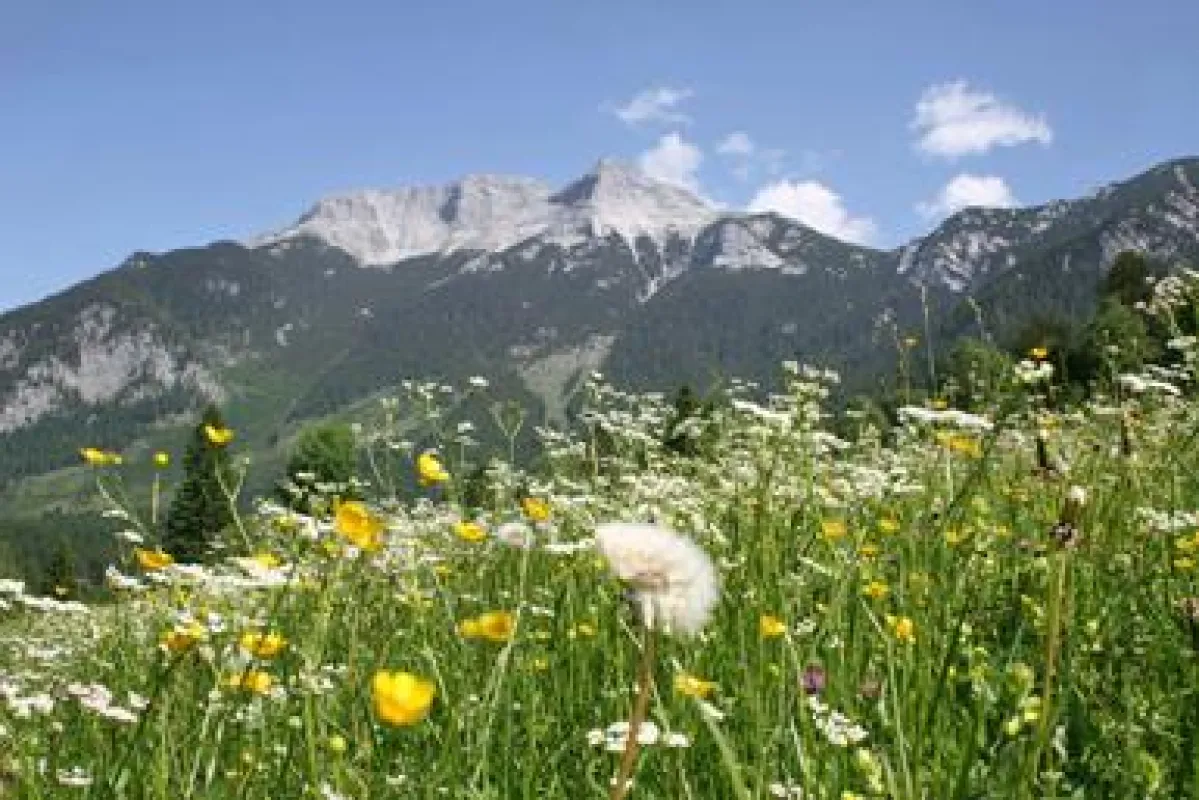 Faszination Berge: In seinen Seminaren nutzt Karl Rabeder die Kraft der Natur