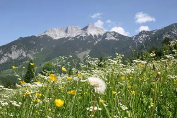 Alpen und Wüste: Natur als Seminarraum Bild: Alpen und Wüste: Natur als Seminarraum