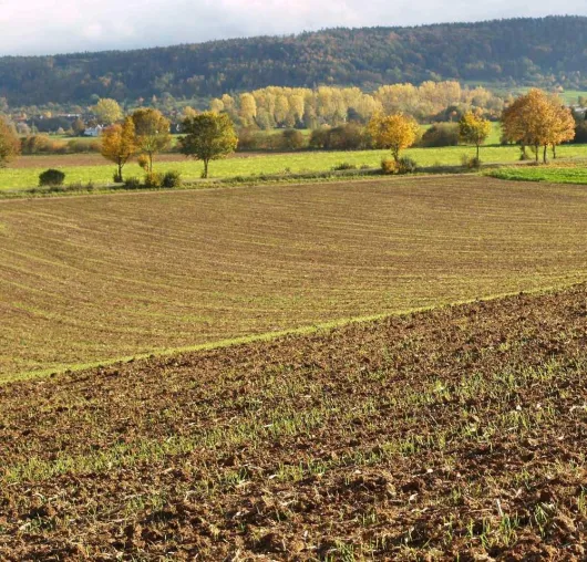 Bild: Landvermessung per Mausklick - ein neuer Service von Proplanta