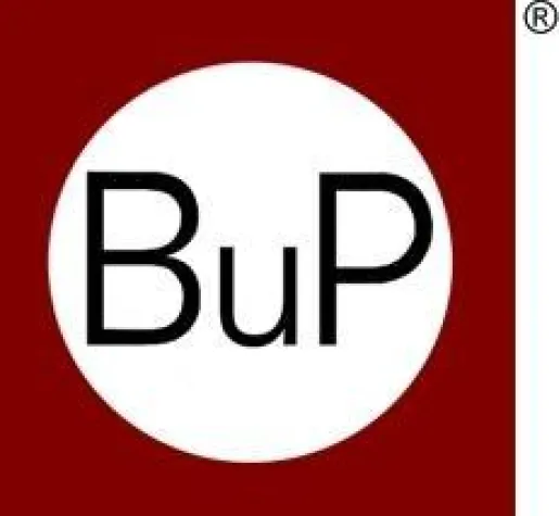 Bild: „Der IT-Lotse“ - Checkliste mit Warn-Indikatoren für Sparkassen