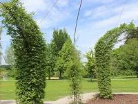 Bild: Besinnung.Kneipp.Ordnung – Ein Ort zur Entspannung: Neu in Bad Wörishofen: Hainbuchen Pavillon