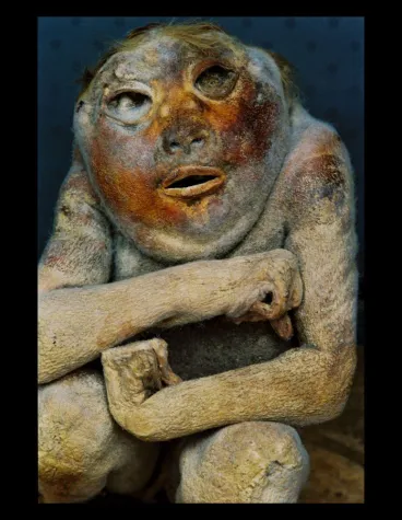 Bild: Gundula Schulze Eldowy | Das unfassbare Gesicht | Photographie