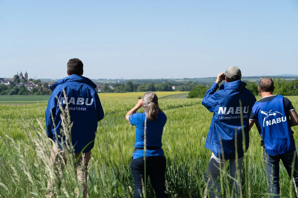 Artenkenntnisse und Naturerlebnisse werden im Rahmen der Naturführer:innen-Ausbildung vermittelt. (© NABU/Jesse Shindo)