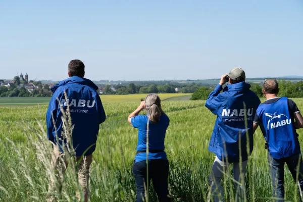 Bild: Natur verstehen und vermitteln:  NABU Umweltwerkstatt startet Ausbildung zum Naturführer 2026