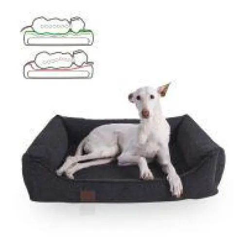 Das perfekte Hundebett - das ist wichtig bei der Wahl des Hundebetts Bild: Das perfekte Hundebett - das ist wichtig bei der Wahl des Hundebetts