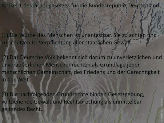 Bild: "Wir müssen Anschein der Rechtsstaatlichkeit wahren"- Kritischer Appell an Bundespräsident Steinmeier