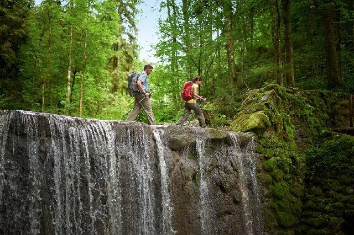 Naturfreunde kommen bei der Wandertrilogie im Allgäu auf ihre Kosten.