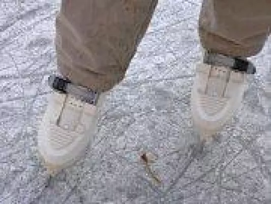 Bild: Weihnachtsferien ohne Schnee - mit FamilienkulTour kein Problem