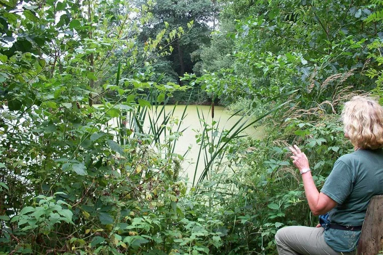 Bild: Wanderauszeichnung für neue Vogelsberger Extratour in Homberg(Ohm)
