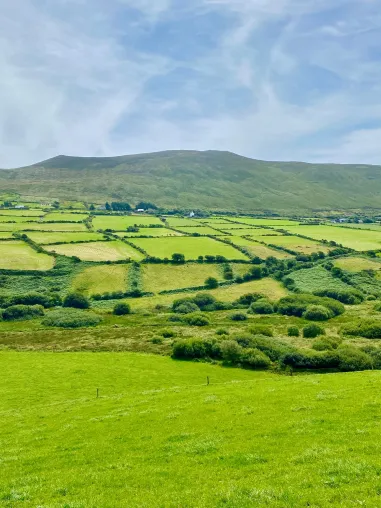Bild: Schüleraustausch mit Gewinn: Irland, Schottland, UK auf Zeit