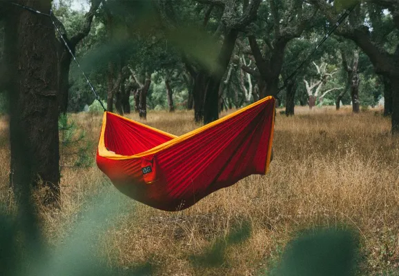 Bild: Nachhaltiges Hammocking: HÄNG unterstützt das Eden Reforestation Project