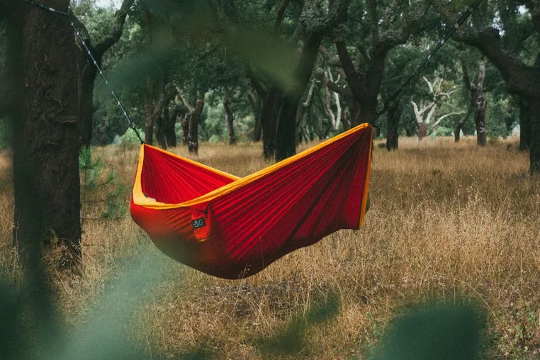 Bild: Nachhaltiges Hammocking: HÄNG unterstützt das Eden Reforestation Project