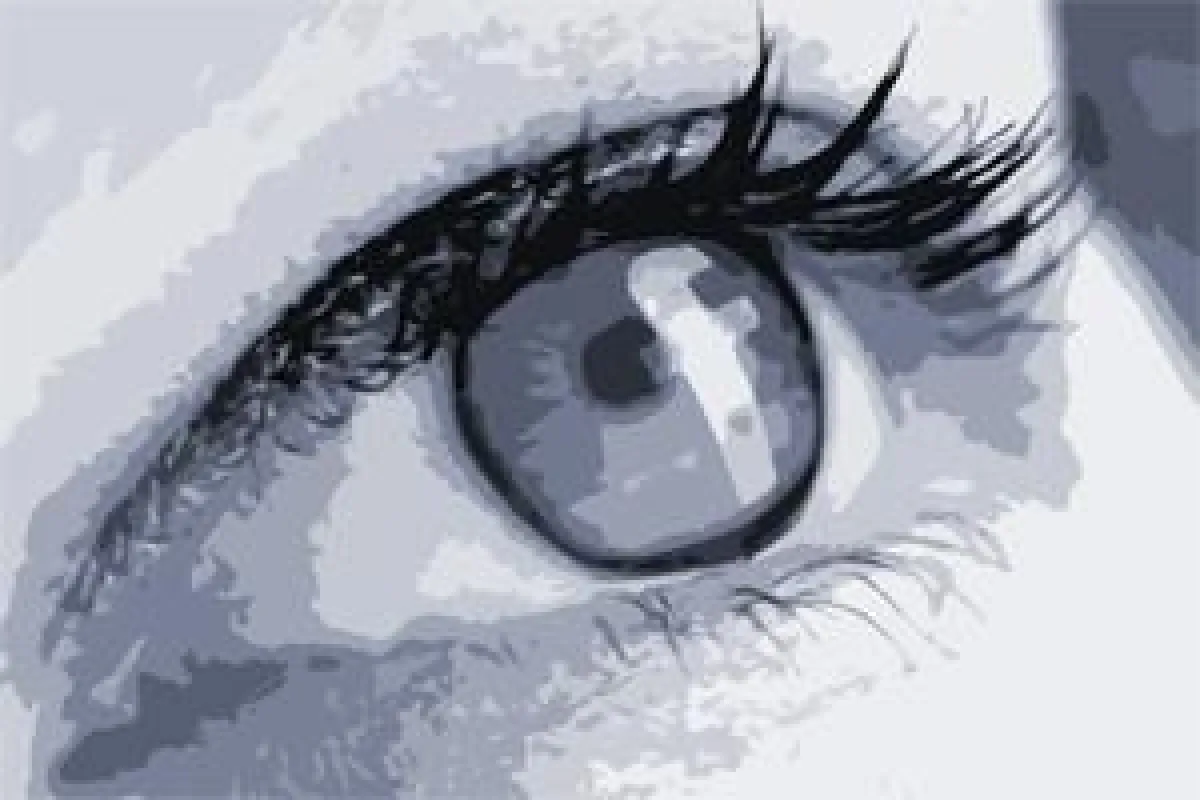 So wird Social-Media-Marketing effektiv im B2B genutzt