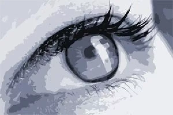 Bild: So wird Social-Media-Marketing effektiv im B2B genutzt