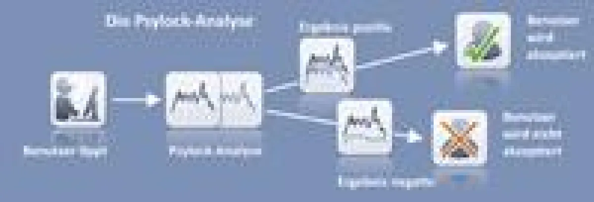 Die Psylock-Analyse in der Übersicht