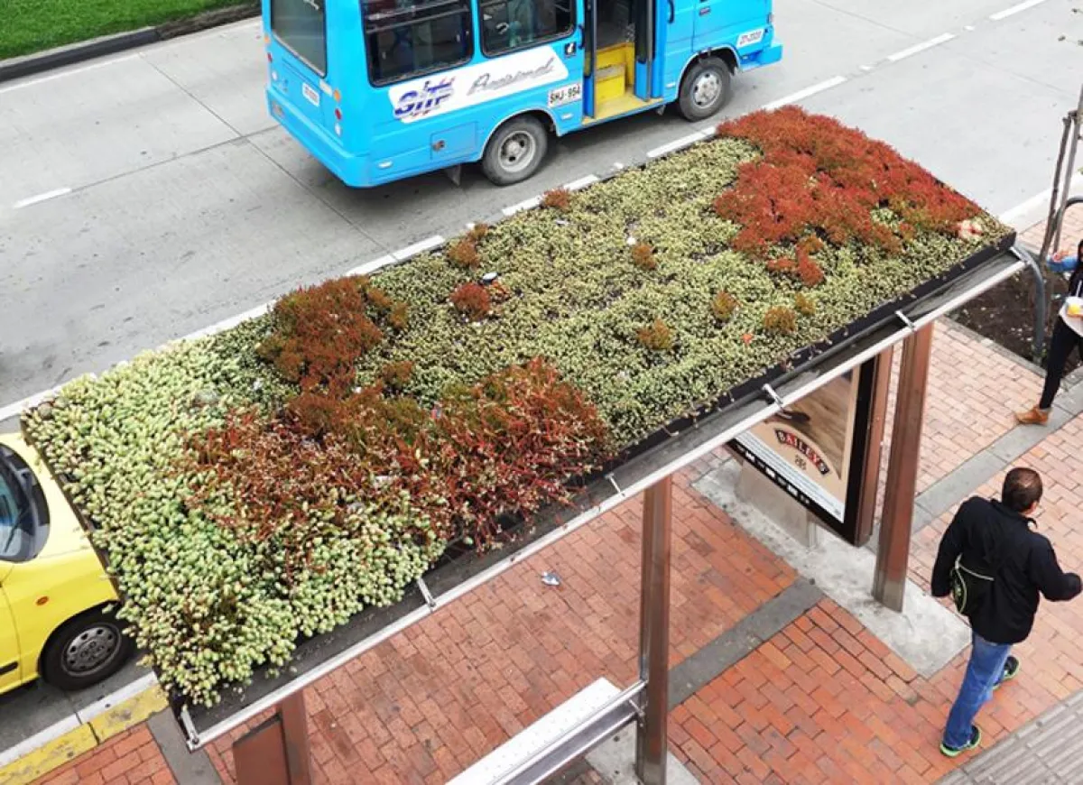 Begrünte Bushaltestellen als beispielhafte Maßnahme zu Klimaanpassung und Artenschutz