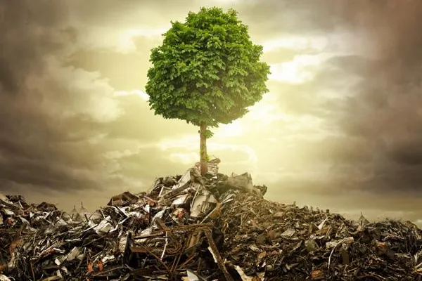 Bild: Belastet die neue EnEV den Klimaschutz?