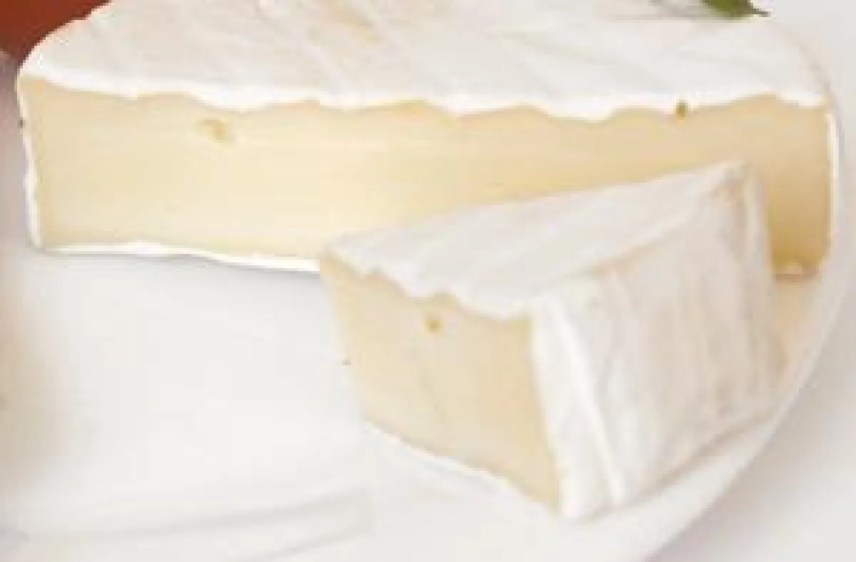 Nicht alle Schimmelpilze sind giftig