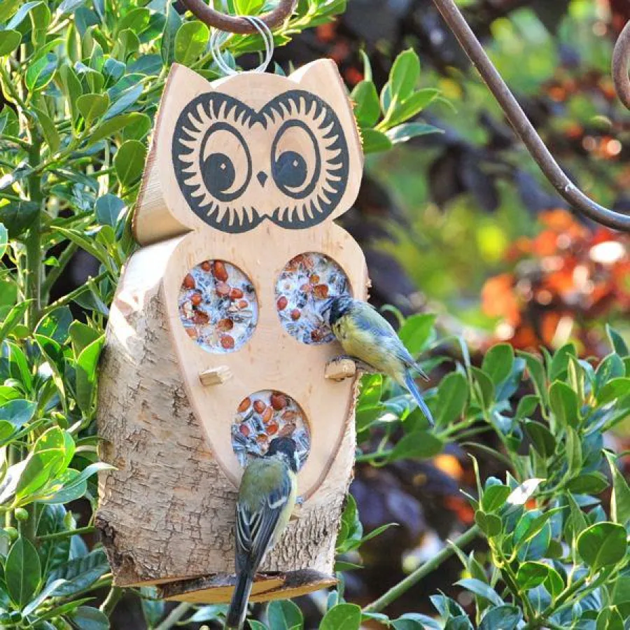 Futtereulen mit einer Fett-Körner-Mischungen sind eine gut Alternative zur herkömmlichen Fütterung