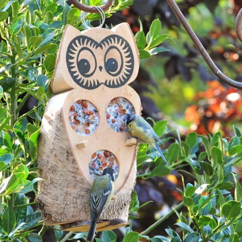 Bild: Im Winter Natur erleben mit idealen Futterplätzen und Nistkästen