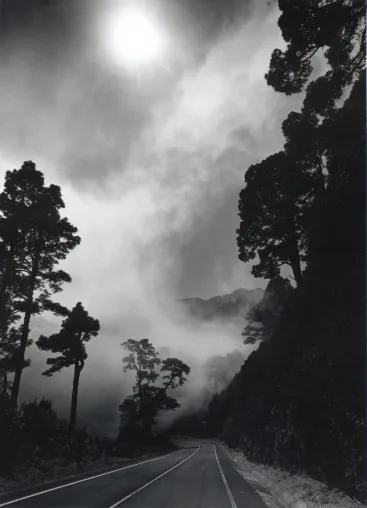 Bildgestaltung in Schwarzweiss mit Torsten Andreas Hoffmann - La Palma Fotoreise vom 03.05.-10.05.2005 Bild: Bildgestaltung in Schwarzweiss mit Torsten Andreas Hoffmann - La Palma Fotoreise vom 03.05.-10.05.2005