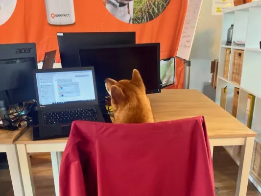 Bild: Weenect Umfrage: Mindestens jede:r zweite Hundebesitzer:in nimmt den Hund mit ins Büro