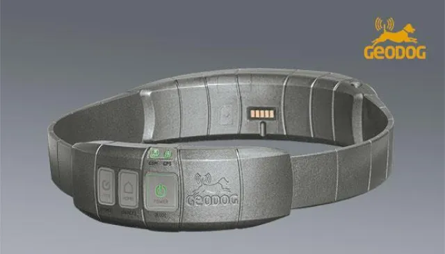 Bild: Hightech für Hunde – Ortung mittels Halsband