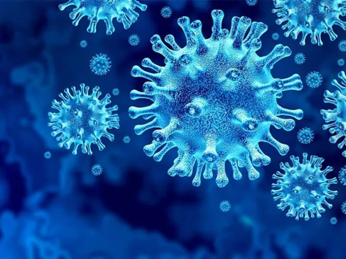 Bild: Anticimex Deutschland informiert zum Umgang mit dem Corona-Virus (SARS-CoV-2)