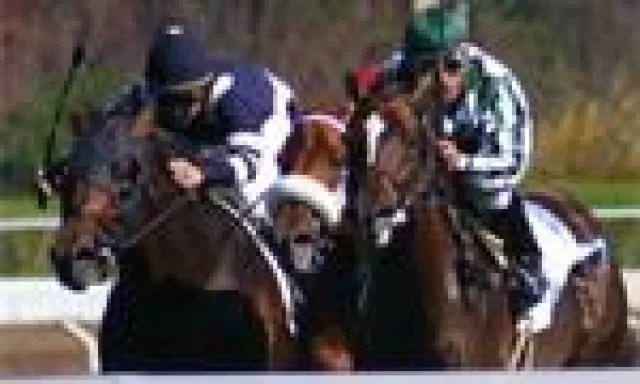 Bild: Galopp-News - $ 500.000 Queen Elisabeth Cup auf Keeneland