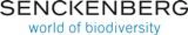 Bild: PPA KOMMUNIZIERT FÜR SENCKENBERG GESELLSCHAFT FÜR NATURFORSCHUNG