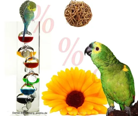 Bild: Je heißer der Sommer, desto tiefer fallen die Papageienfutterpreise