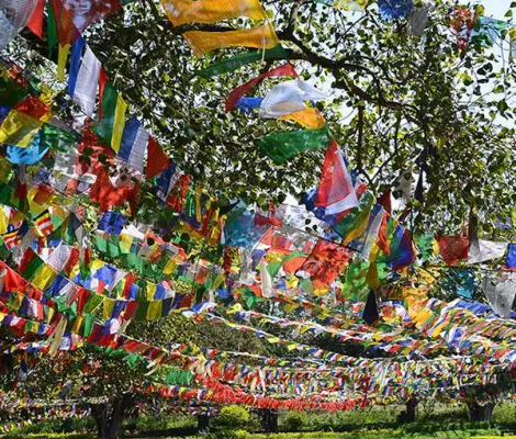 Bild: Buddhistisches Windpferd-Fahnen Ritual in Grünwald