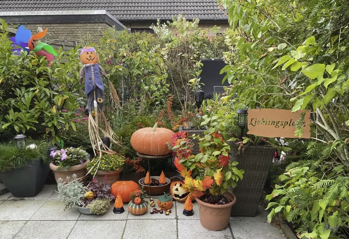 Bild: Urlaub auf Norderney – Herbst, Winter und festliche Momente